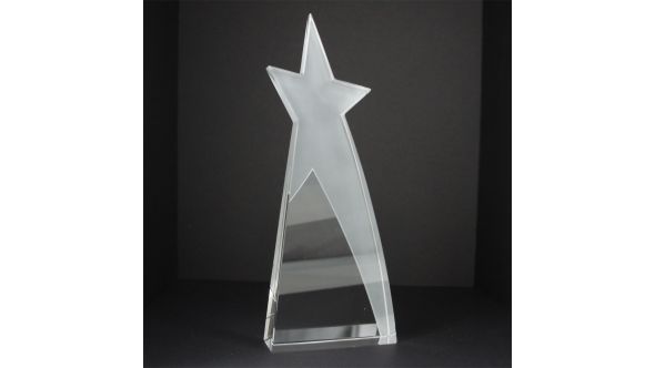 Large shooting star award